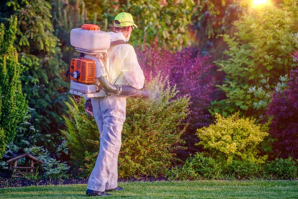Pest Control Garden Spraying by Professional Gardener Who Wearing Safety Wearing.