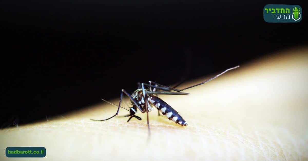 פגיעה בנקבות יתושים ביהודה ושומרון