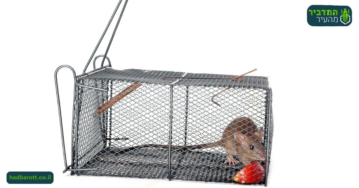 האם כל אחד יכול להניח מלכודת עכברים בשרון?